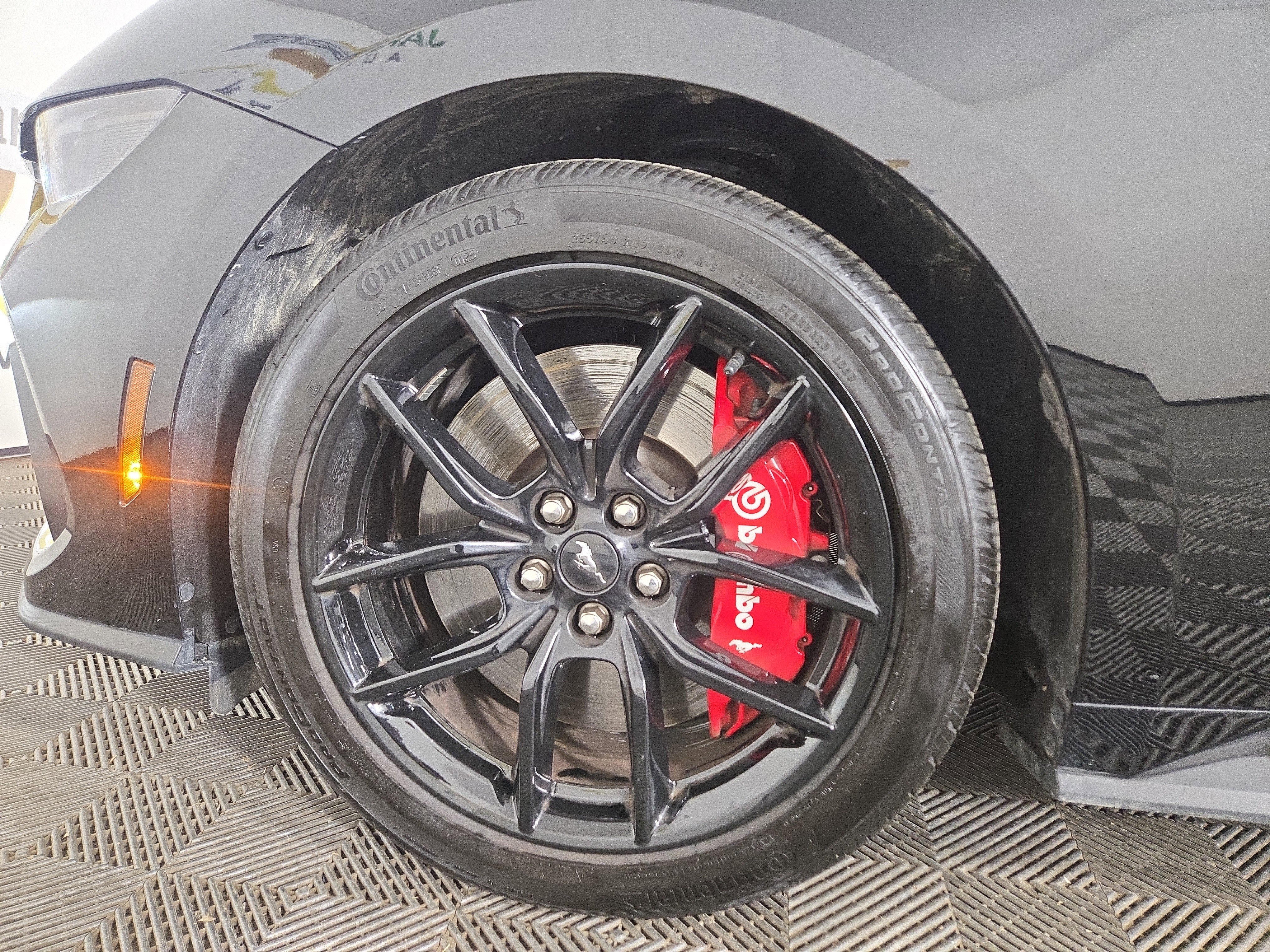 Used 2025 Ford Mustang GT w/ Mustang Nite Pony Package image 32