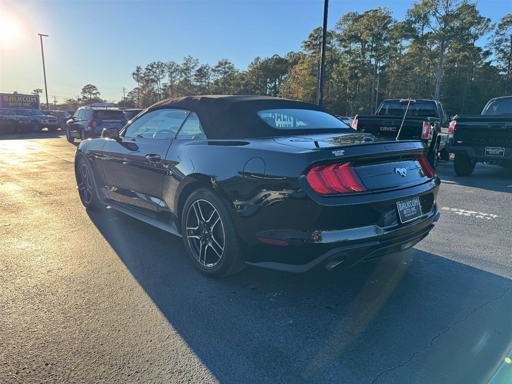 Used 2023 Ford Mustang Premium image 11