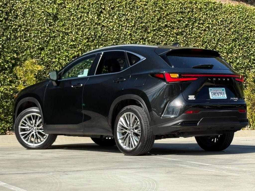 Certified 2025 Lexus NX 350h AWD w/ Cold Area Package image 2
