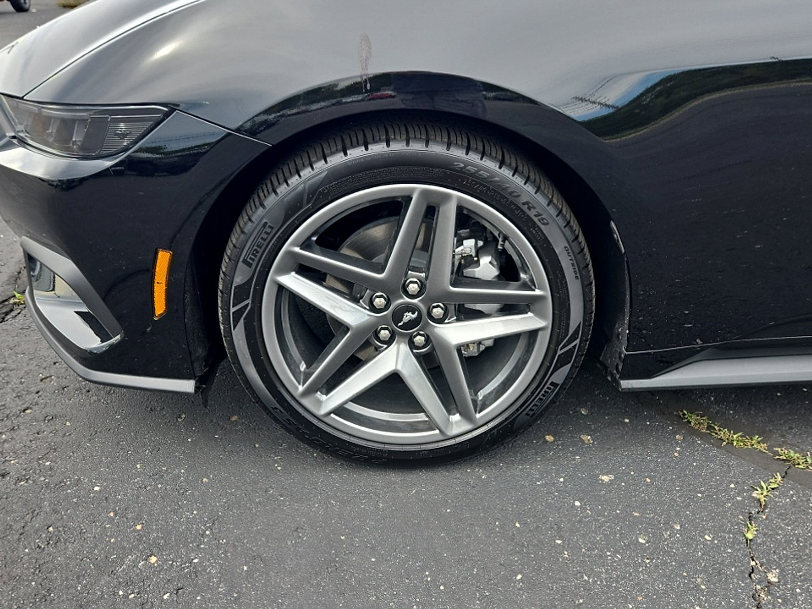 Used 2026 Ford Mustang Premium RWD image 23