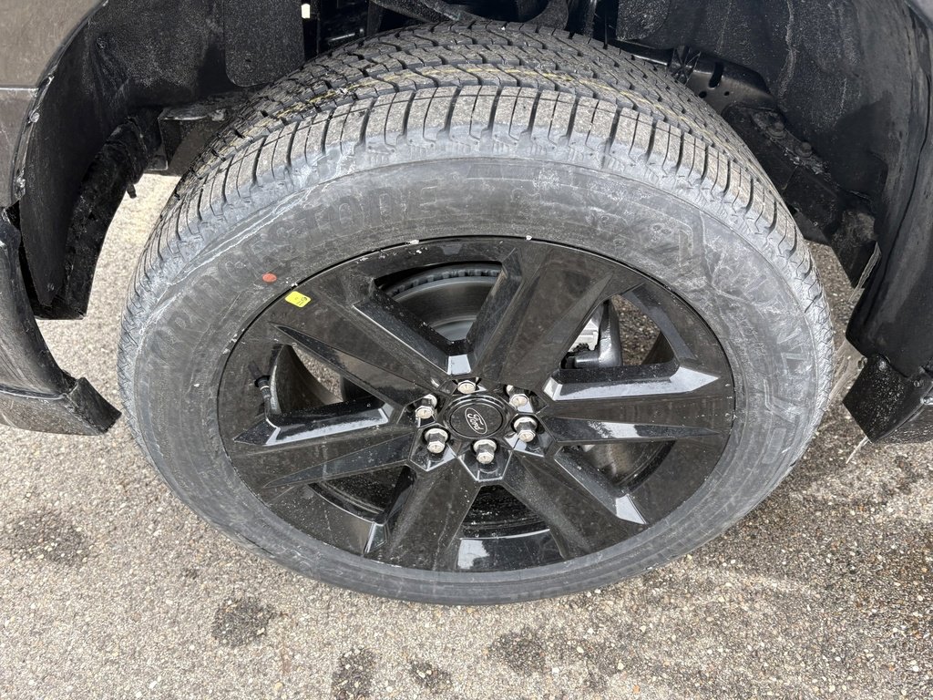 New 2026 Ford F150 STX w/ F-150 LOBO Package image 10