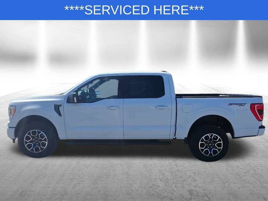 Used 2023 Ford F150 XLT w/ Equipment Group 302A High AWD/4WD image 5