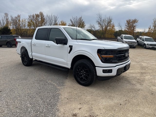 New 2025 Ford F150 XLT w/ Equipment Group 302A MID image 8