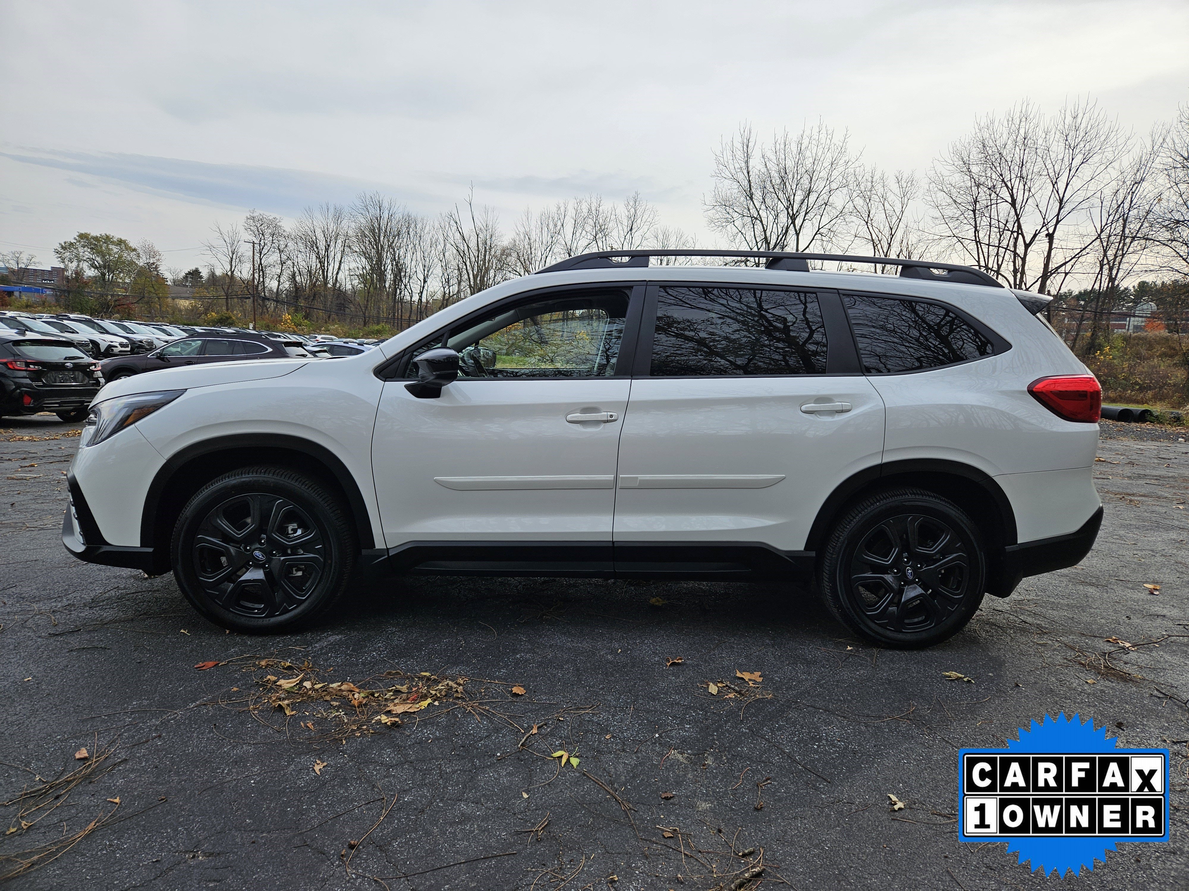 Certified 2025 Subaru Ascent Onyx Edition image 5