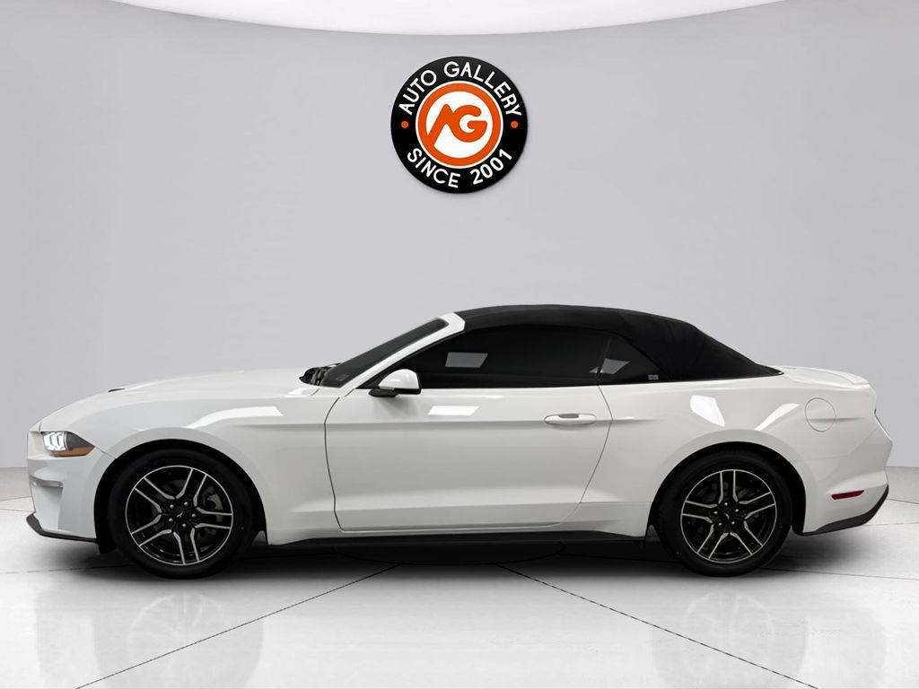 Used 2019 Ford Mustang Premium image 6