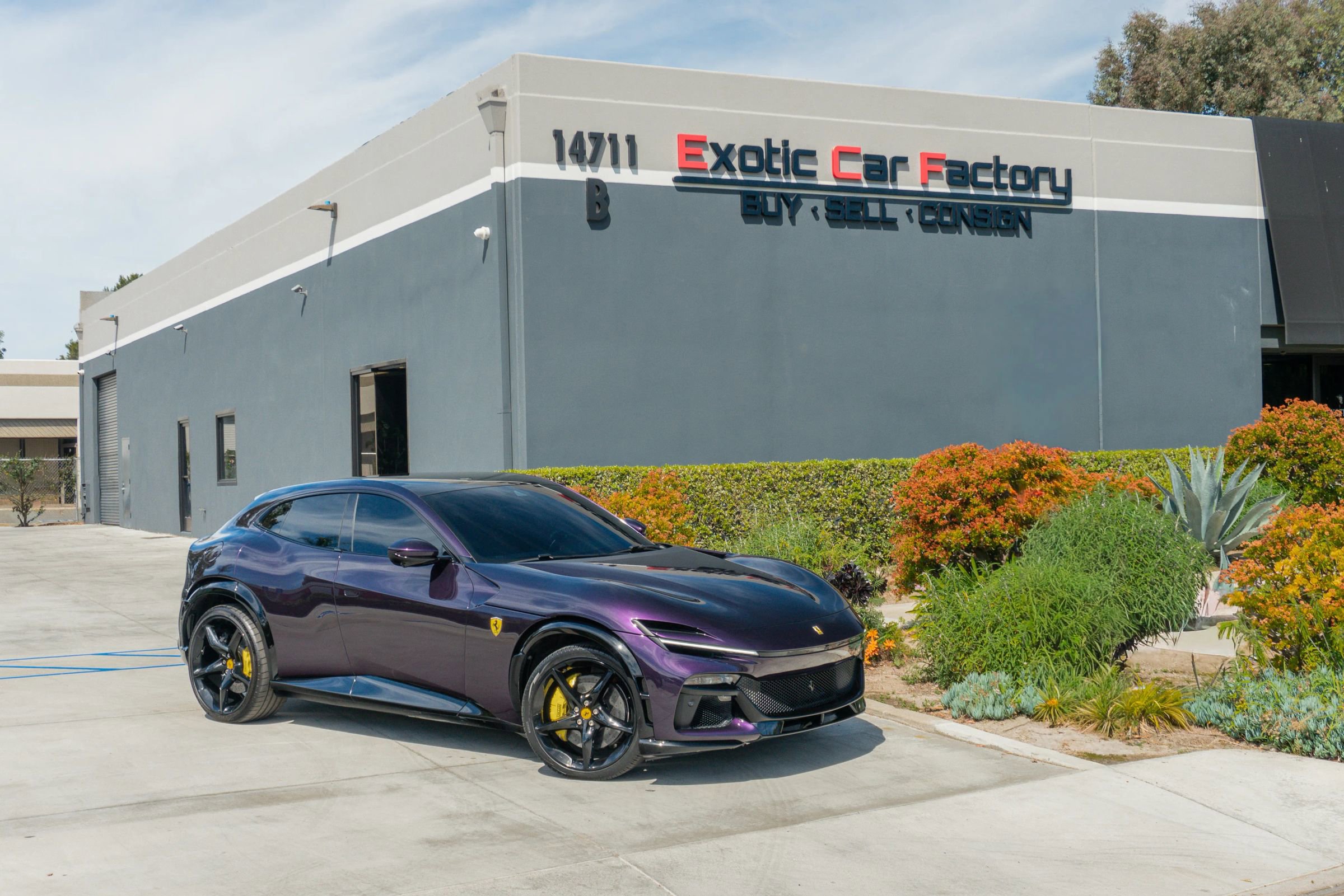 Used 2024 Ferrari Purosangue