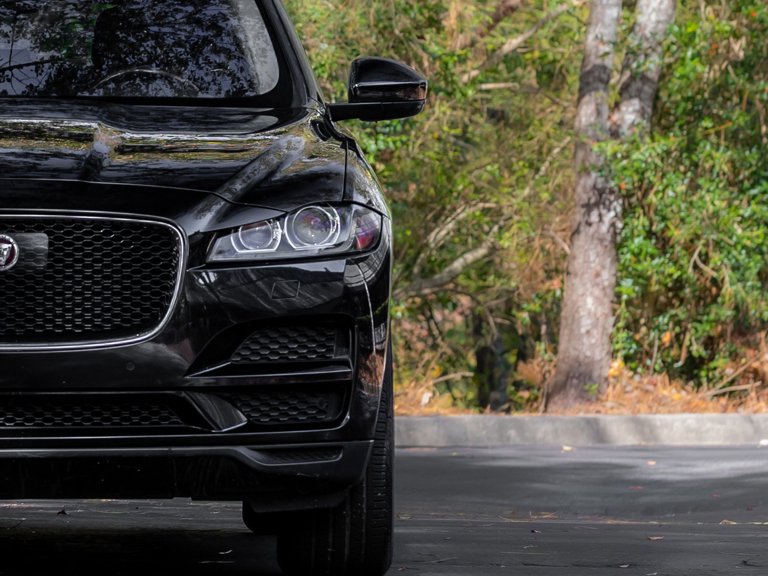 Used 2019 Jaguar F-PACE Prestige image 38