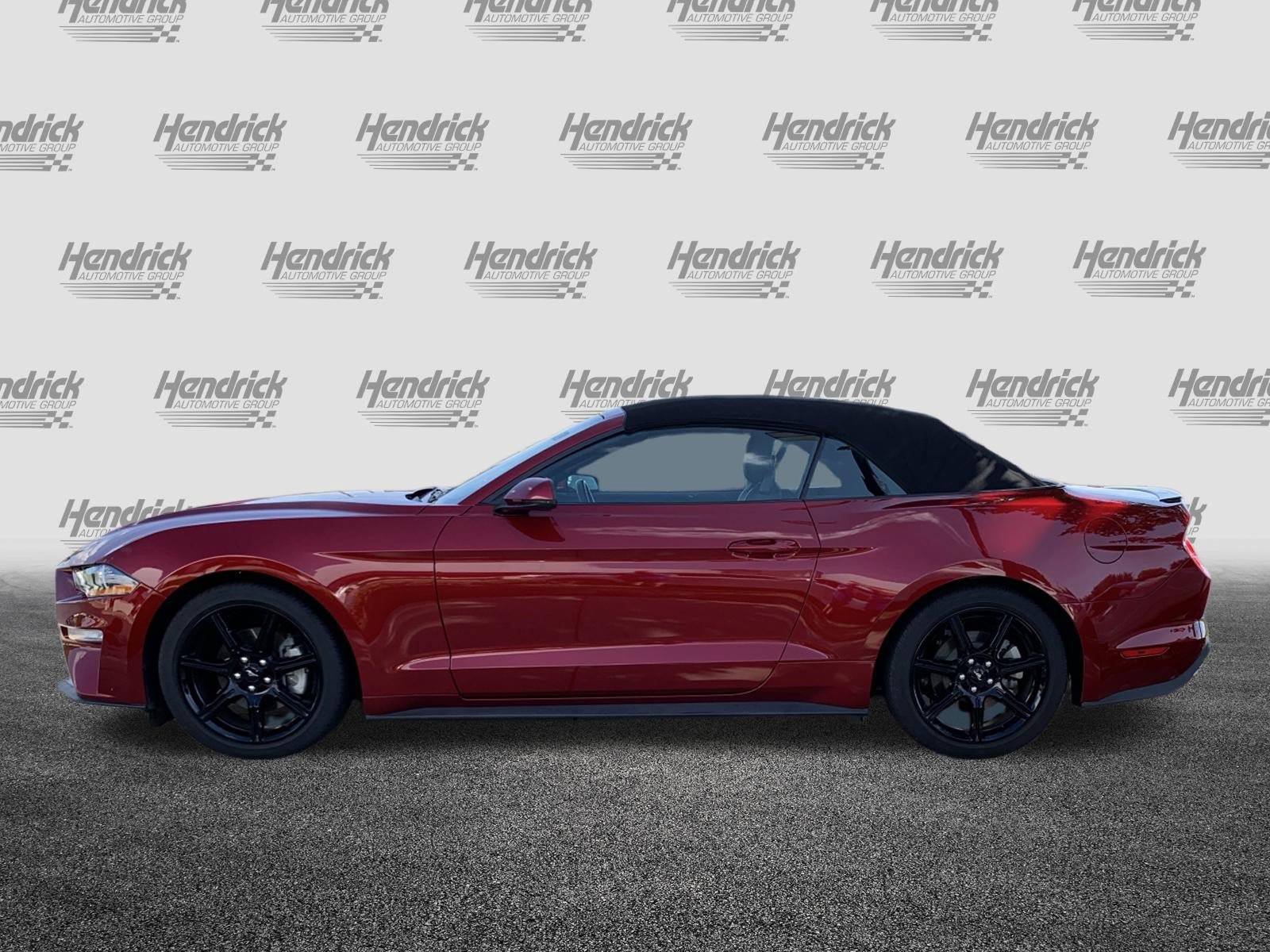 Used 2019 Ford Mustang Premium w/ Equipment Group 201A RWD image 7
