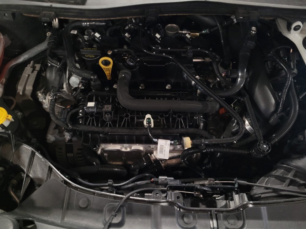 Used 2019 Ford Escape SE AWD/4WD image 30