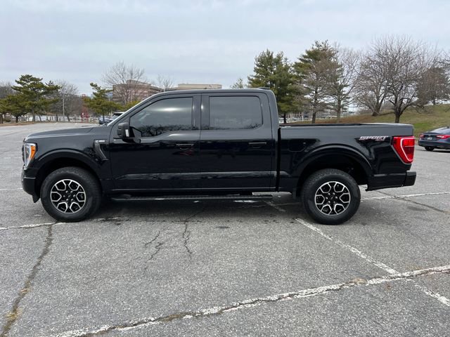 Certified 2023 Ford F150 XLT w/ Equipment Group 302A High image 6
