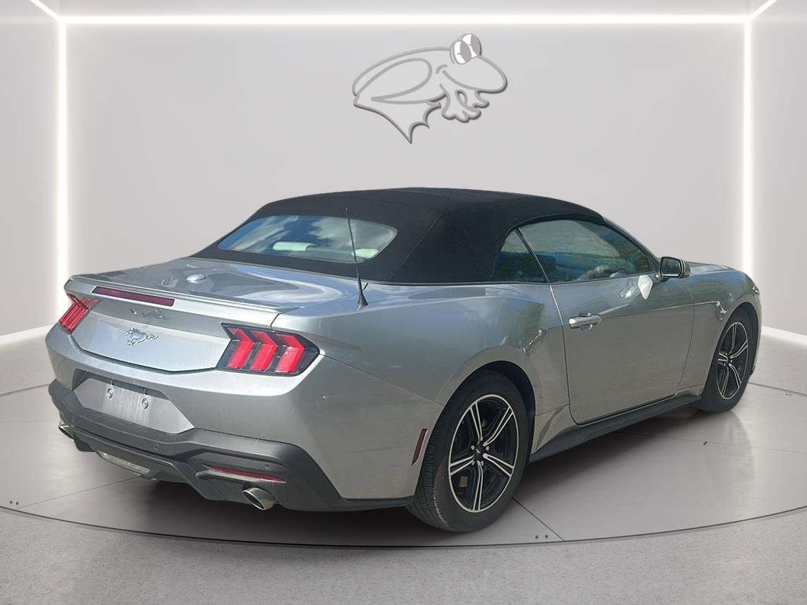 Used 2024 Ford Mustang Premium RWD image 6