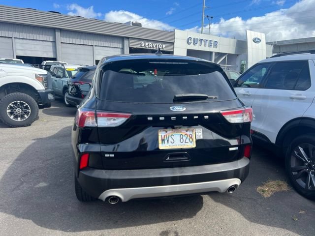 Used 2020 Ford Escape SE AWD/4WD image 5