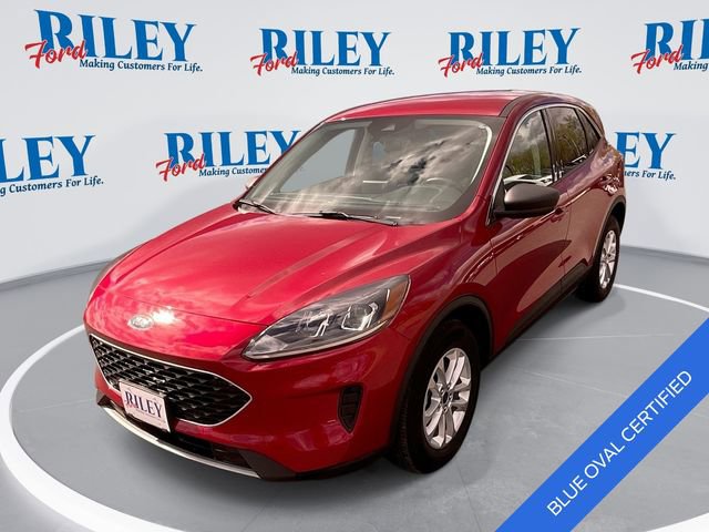 Used 2022 Ford Escape SE w/ Cold Weather Package AWD/4WD image 1