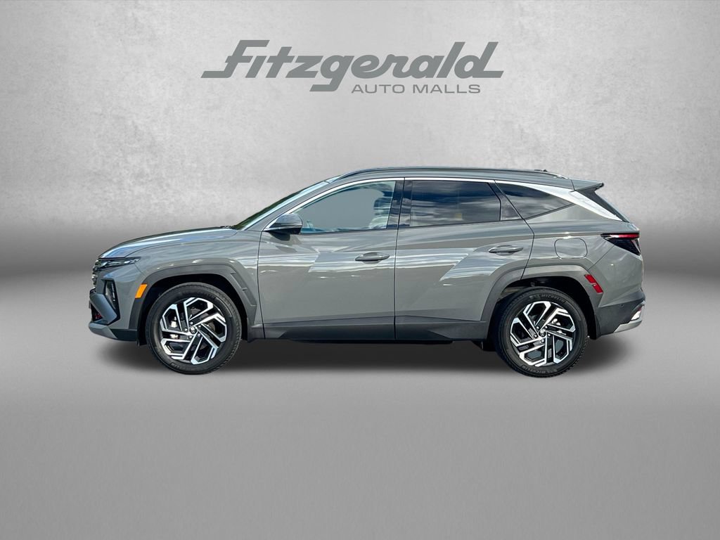 Used 2025 Hyundai Tucson Limited AWD/4WD image 5