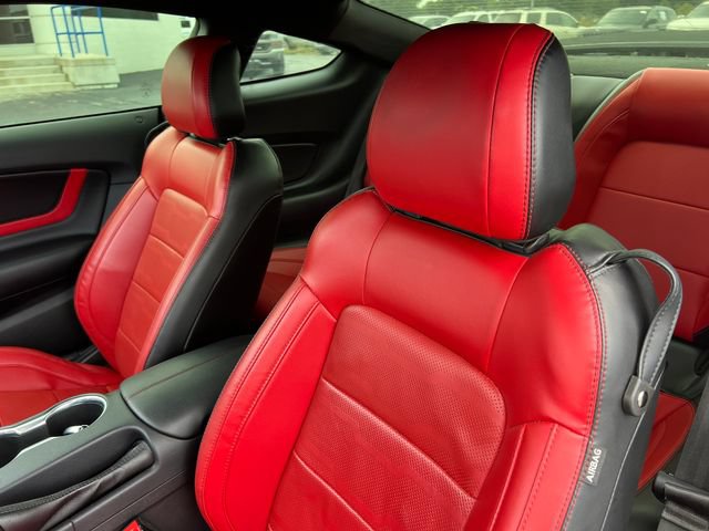 Used 2022 Ford Mustang GT Premium w/ Equipment Group 401A RWD image 13