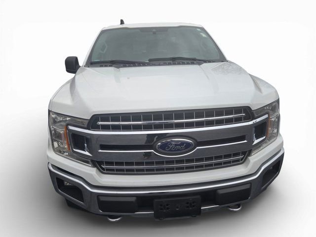 Used 2019 Ford F150 XLT w/ Equipment Group 302A Luxury image 9