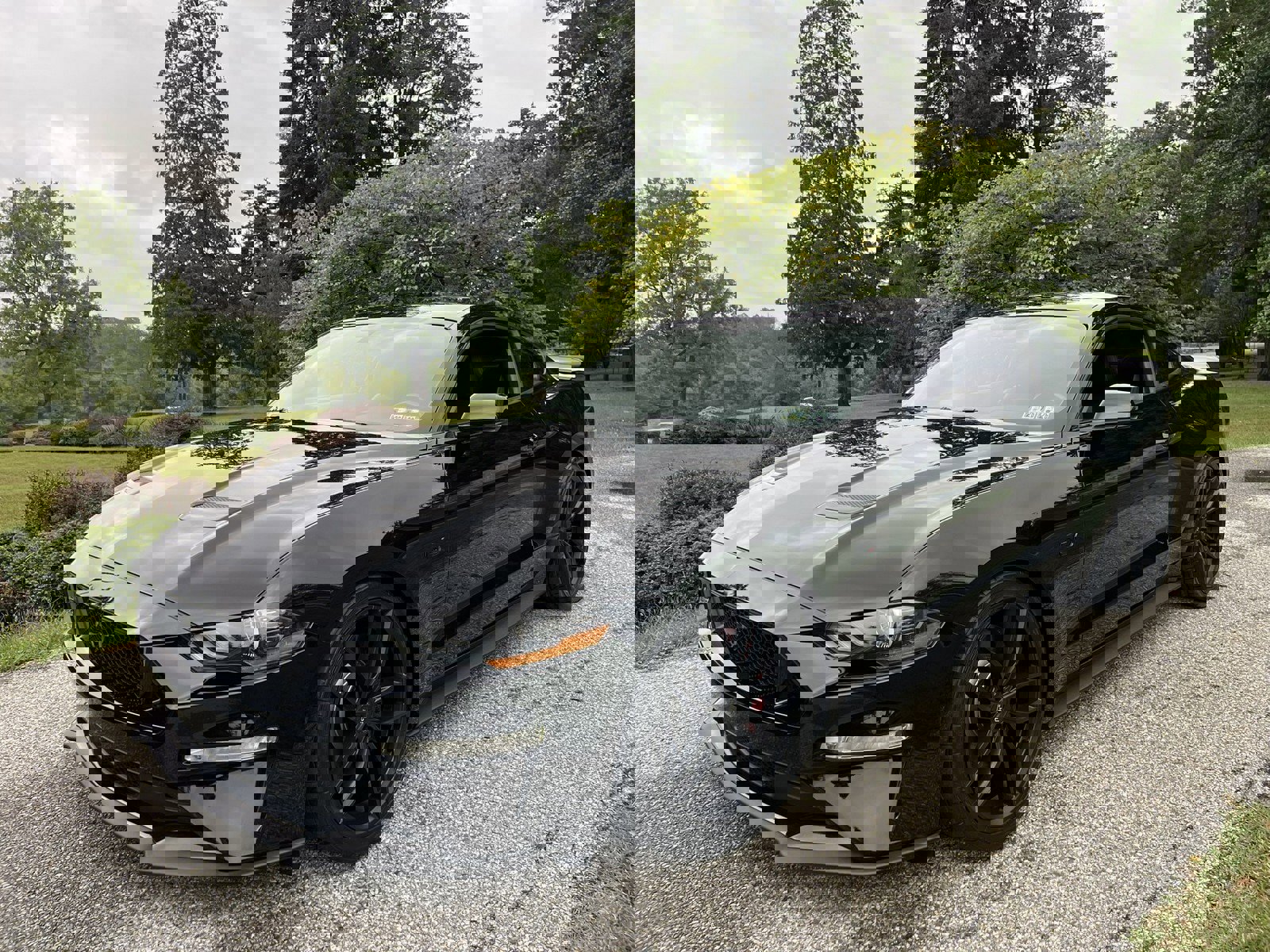 Used 2019 Ford Mustang GT Premium w/ Enhanced Security Package image 4