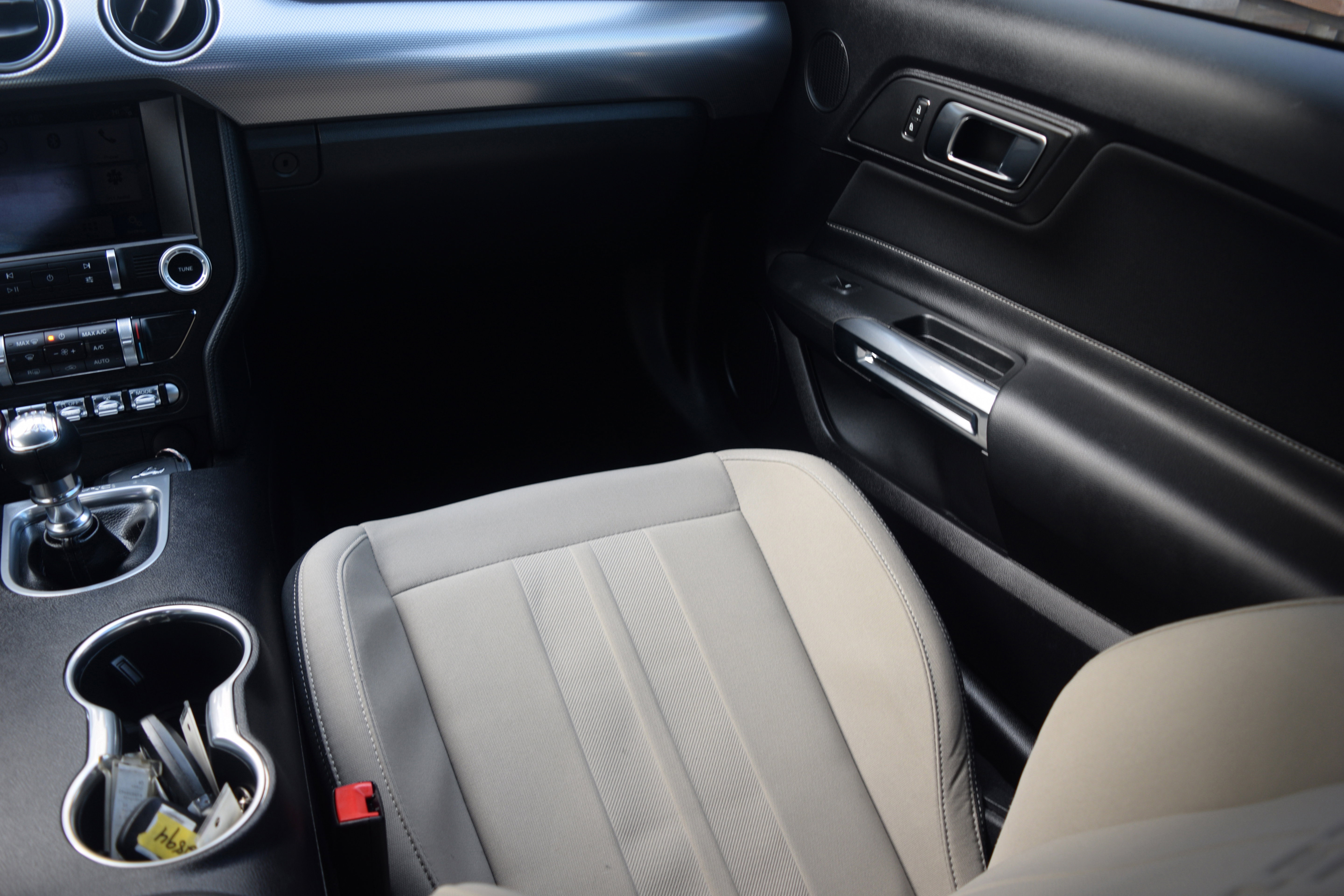 Used 2019 Ford Mustang GT w/ Equipment Group 301A image 14