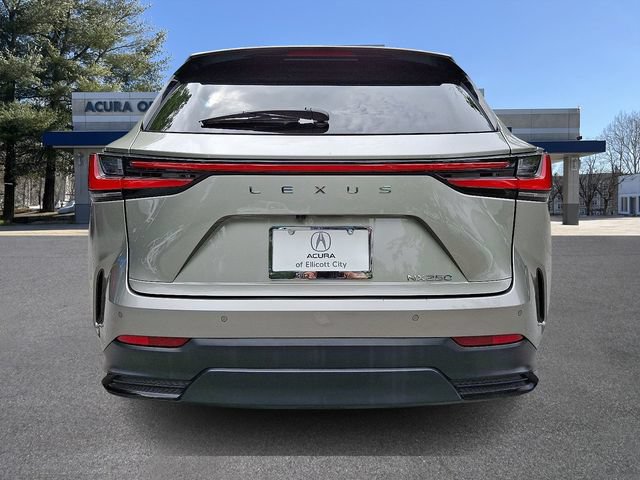 Used 2024 Lexus NX 250 FWD image 5
