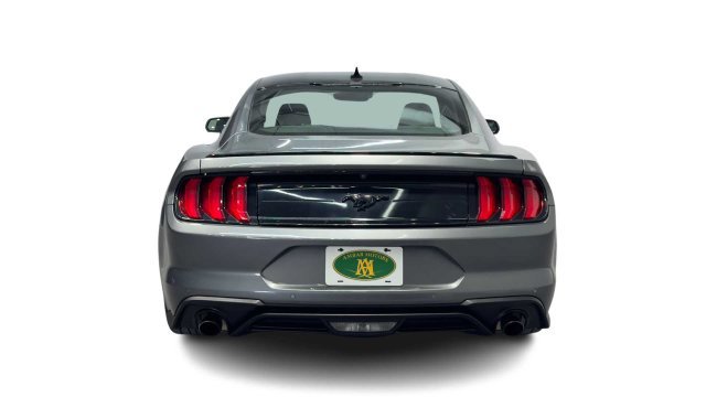 Used 2021 Ford Mustang Premium w/ Black Accent Package RWD image 3