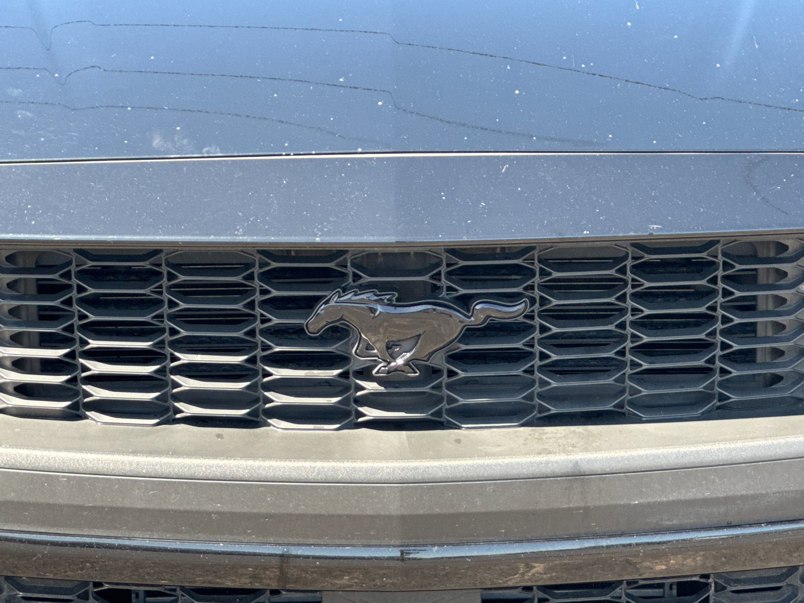 Used 2024 Ford Mustang Coupe RWD image 36