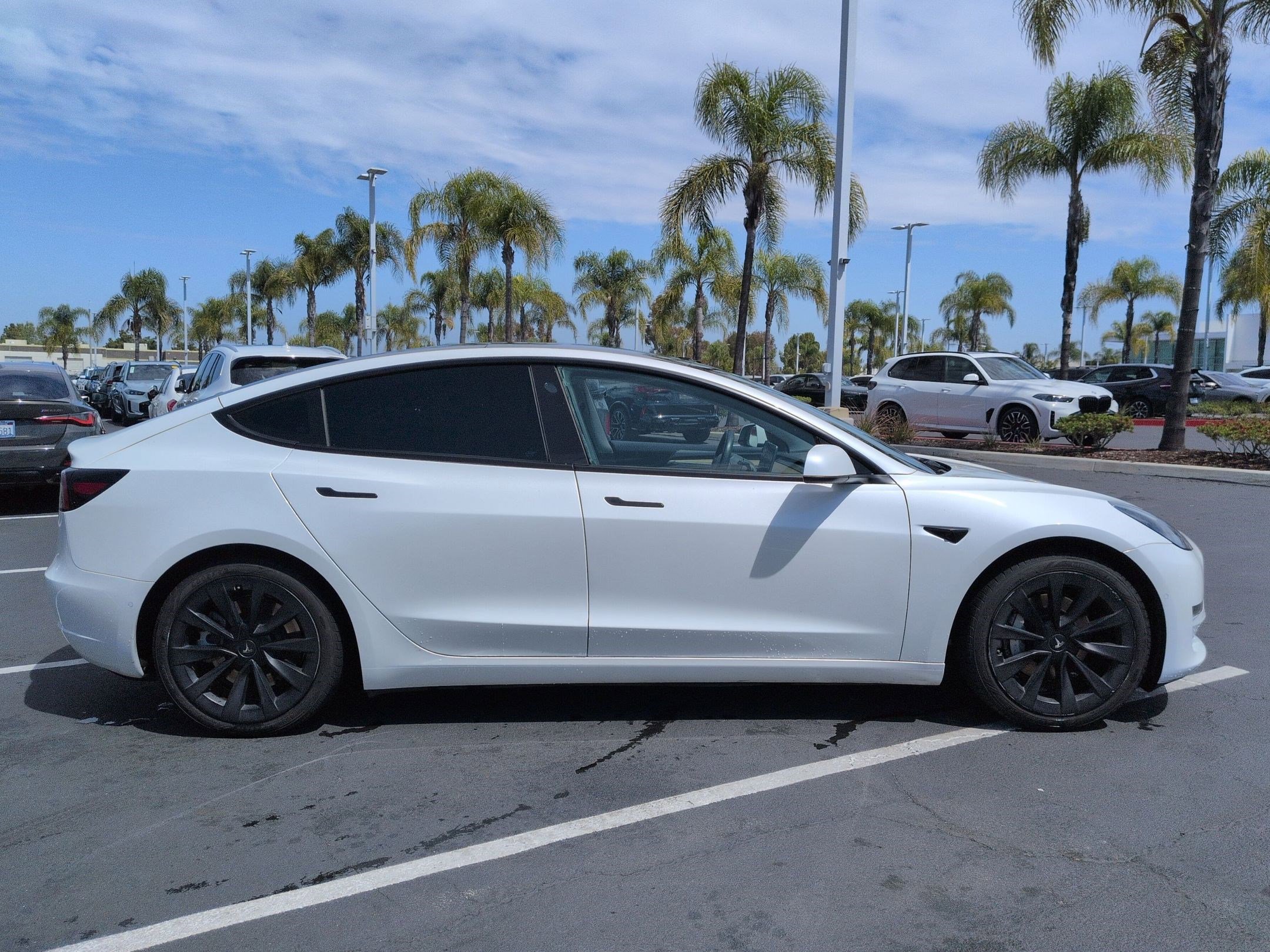 Used 2021 Tesla Model 3 Standard Range Plus RWD image 11