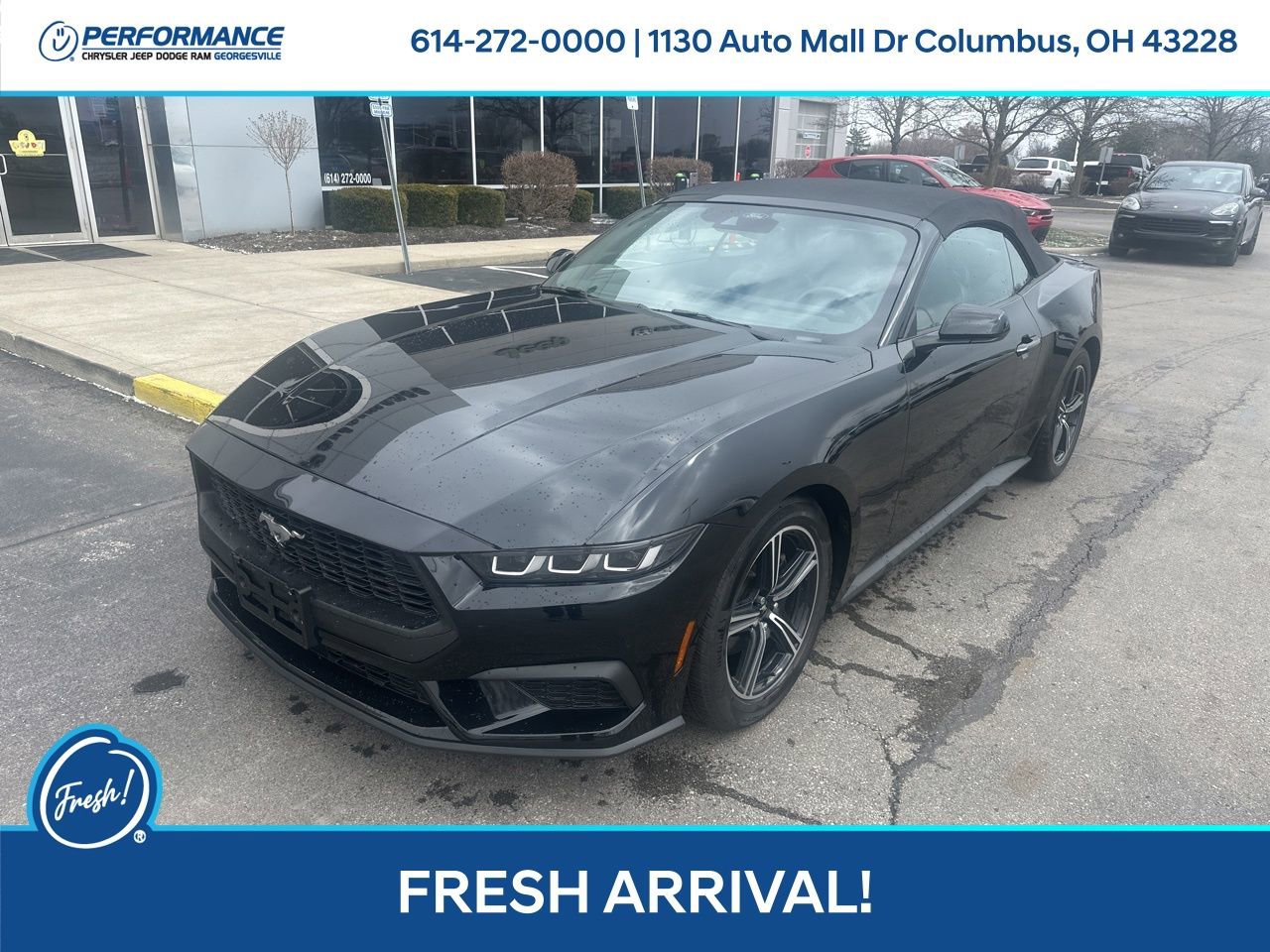 Used 2024 Ford Mustang Premium image 8
