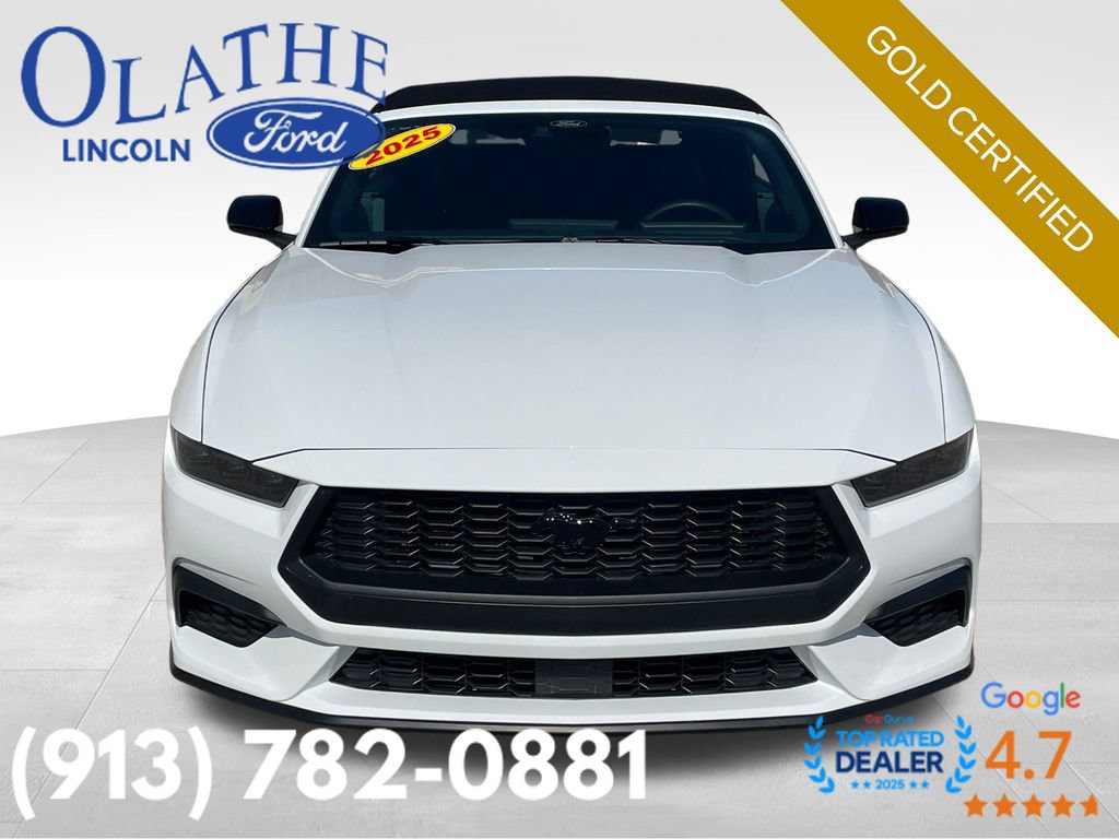 Certified 2025 Ford Mustang Convertible w/ Mustang Nite Pony Package RWD image 10