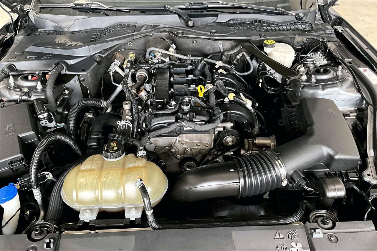 Used 2022 Ford Mustang Premium w/ Equipment Group 201A RWD image 8