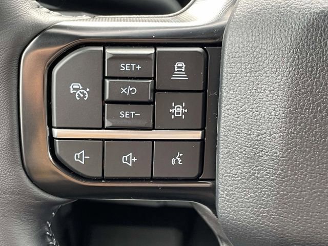New 2025 Ford F150 Platinum w/ FX4 Off-Road Package AWD/4WD image 20
