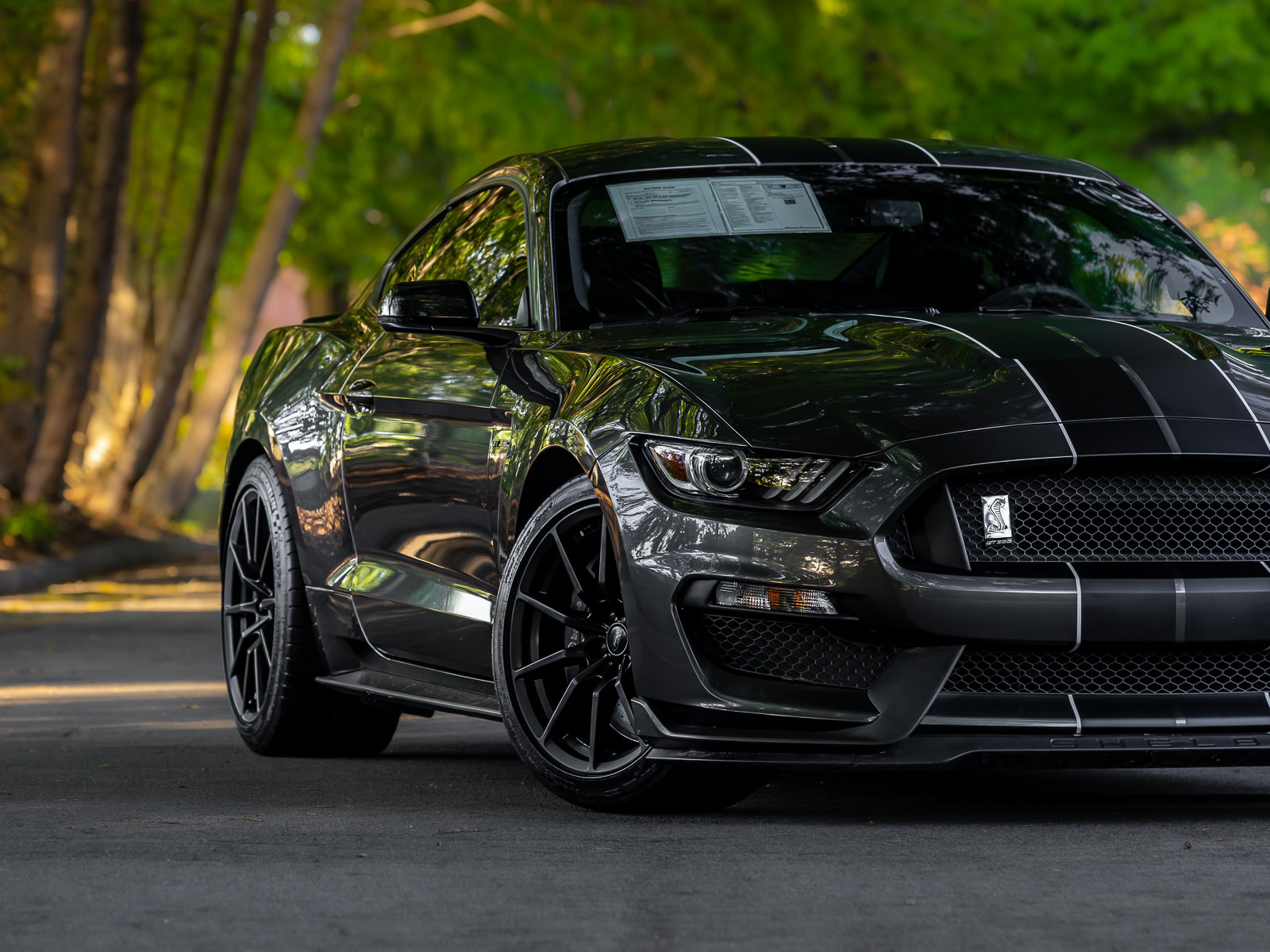 Used 2016 Ford Mustang Shelby GT350 w/ Technology Package RWD image 27