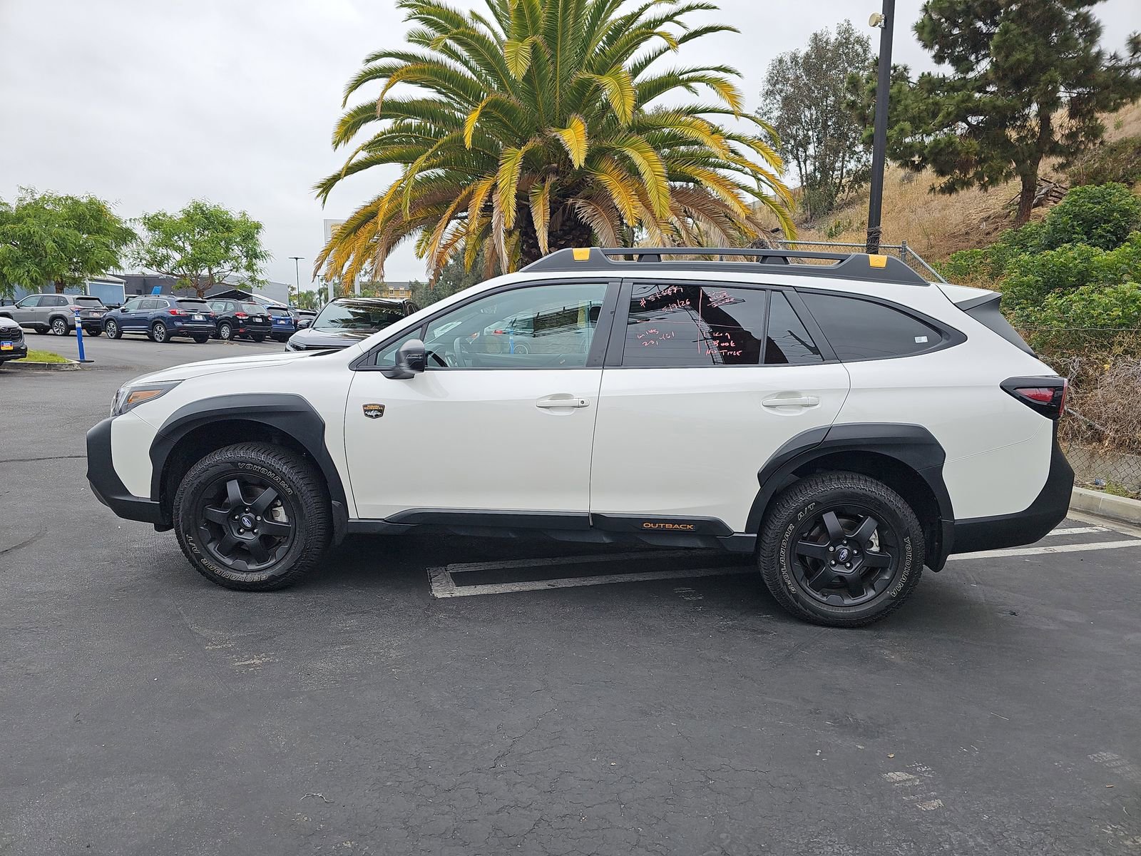 Used 2024 Subaru Outback Wilderness AWD/4WD image 4