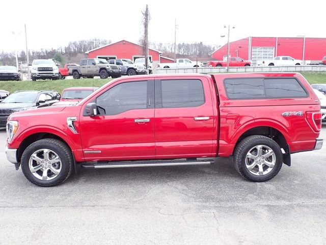 Used 2021 Ford F150 XLT w/ Equipment Group 302A High image 2