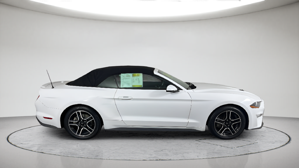 Used 2018 Ford Mustang Premium RWD image 7