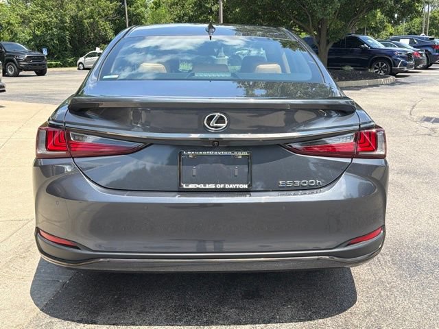 Used 2025 Lexus ES 300h F Sport w/ Accessory Package (Z1) FWD image 6