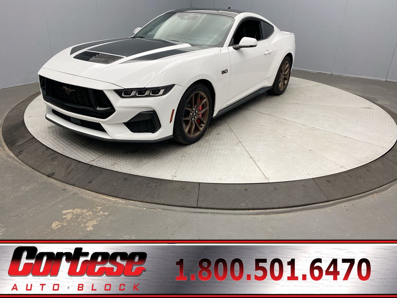 Used 2024 Ford Mustang GT Premium RWD image 1