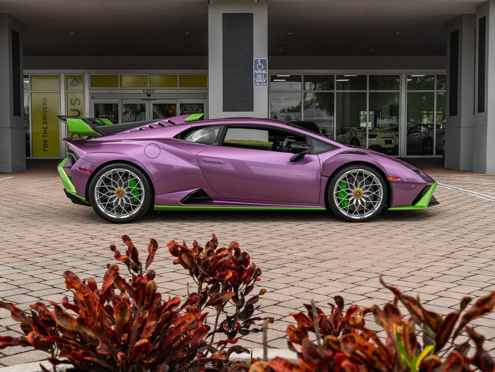 Used 2023 Lamborghini Huracan STO image 5