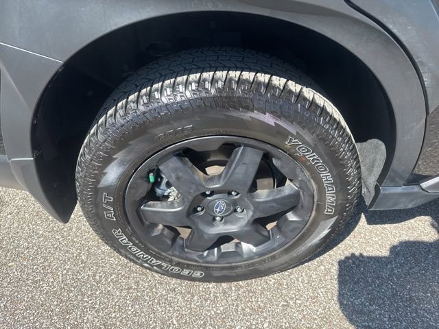 Used 2025 Subaru Outback Wilderness image 14