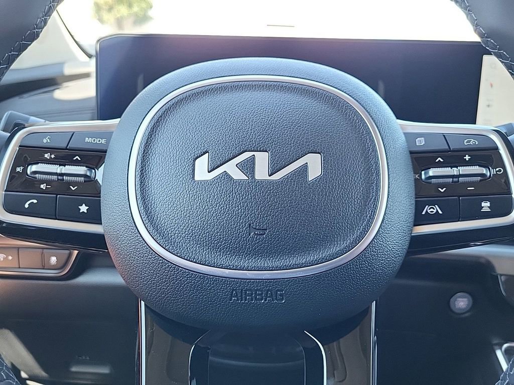 New 2025 Kia Carnival SX image 19
