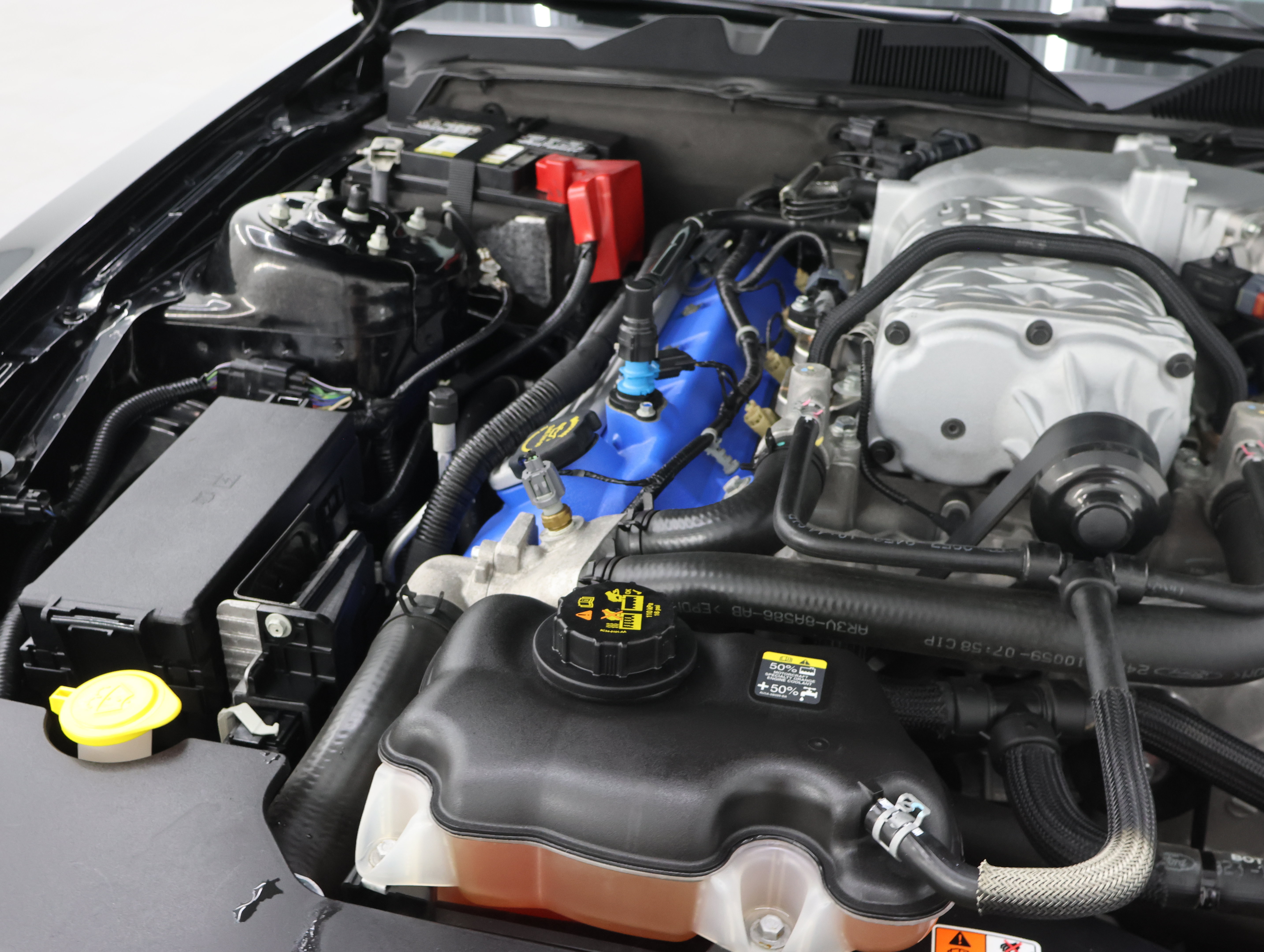 Used 2014 Ford Mustang Shelby GT500 RWD image 16