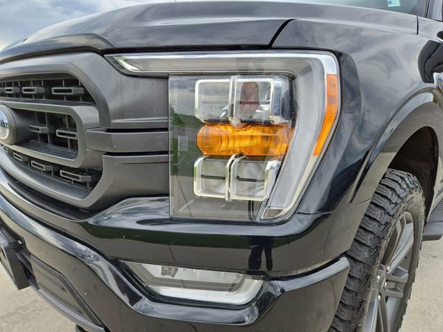 Used 2023 Ford F150 XLT w/ Equipment Group 302A High AWD/4WD image 6