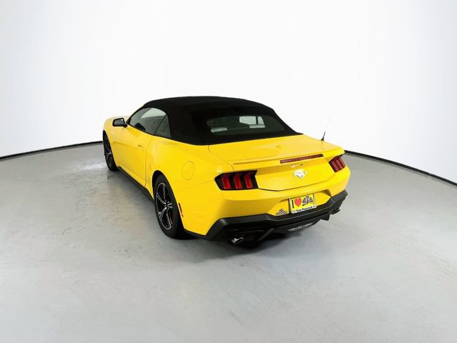 Used 2024 Ford Mustang Premium RWD image 7