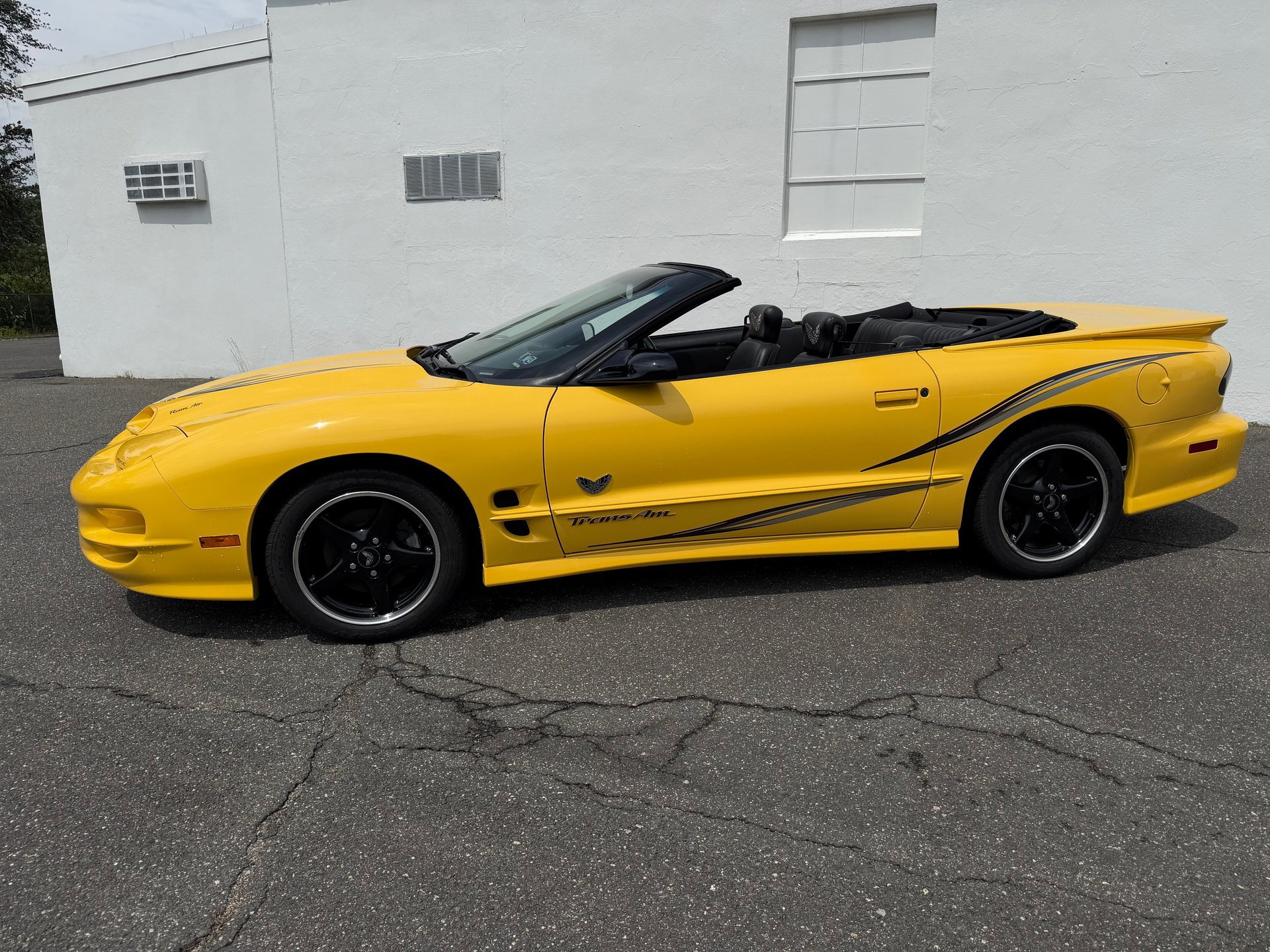 Used 2002 Pontiac Firebird Trans Am RWD image 10