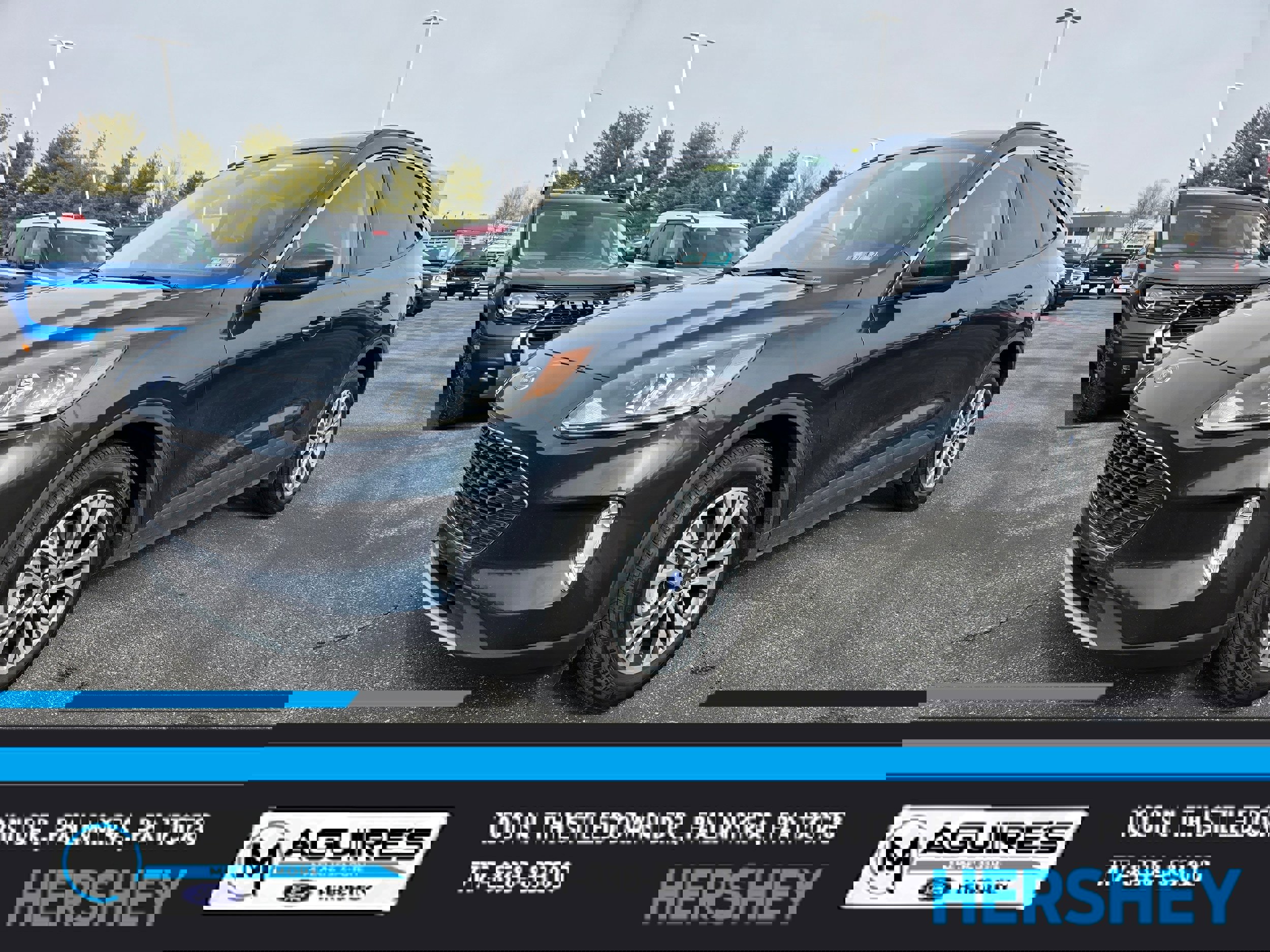 Certified 2022 Ford Escape SEL image 1