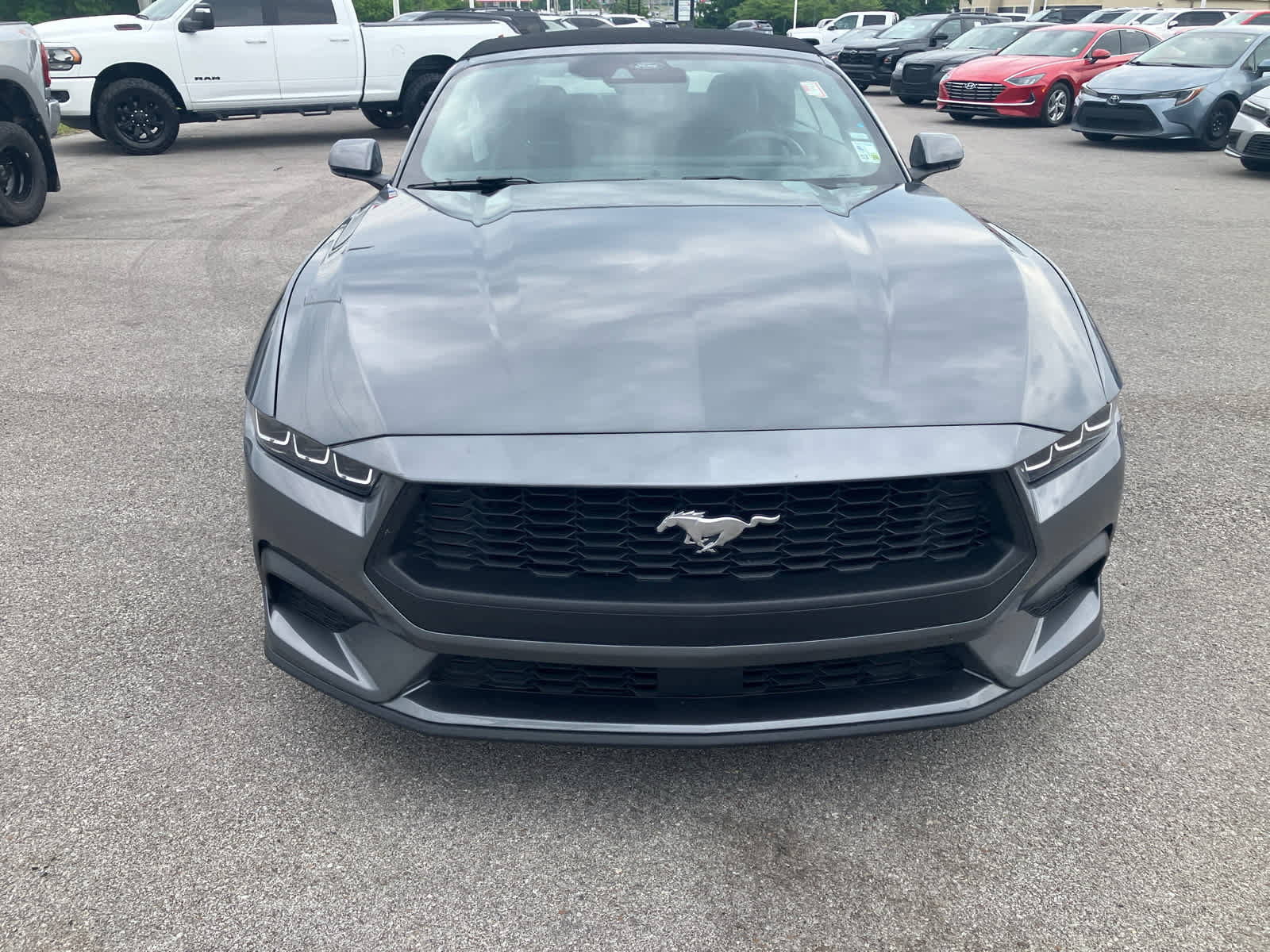 Used 2025 Ford Mustang Premium RWD image 2