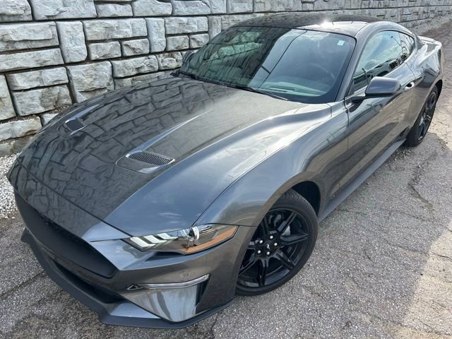 Used 2019 Ford Mustang Coupe w/ Equipment Group 101A image 1