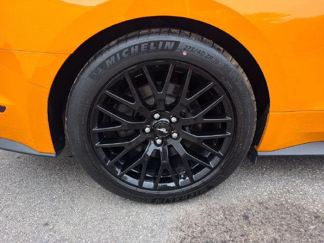 Used 2019 Ford Mustang GT Premium w/ GT Performance Package RWD image 28