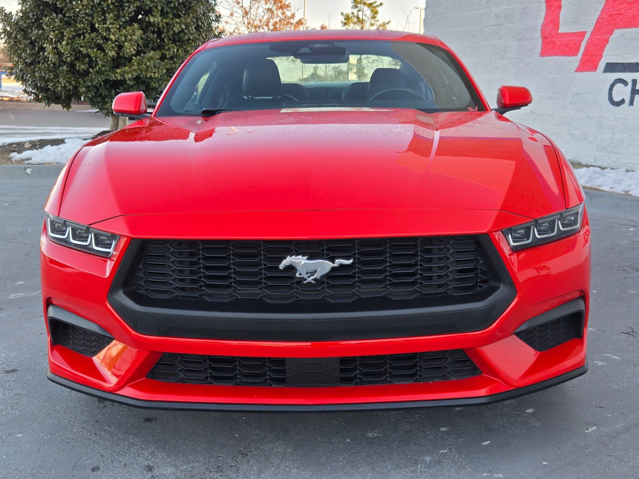 Used 2024 Ford Mustang Premium image 2