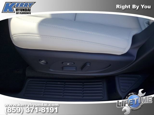 New 2026 Hyundai Palisade Calligraphy image 14