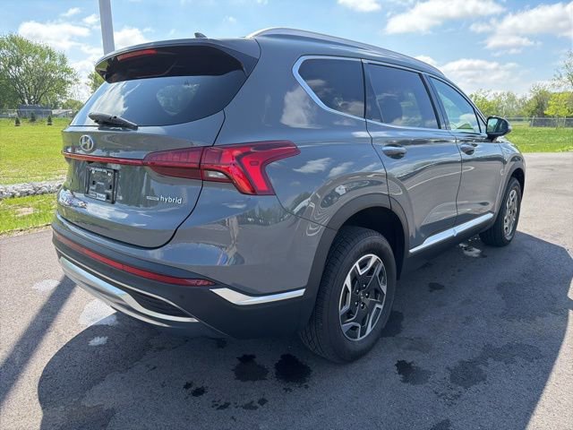 Used 2023 Hyundai Santa Fe Blue AWD/4WD image 7